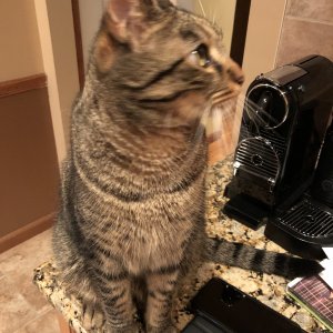 23785AF7-59BD-44FD-A294-BBAF43769BA6.jpeg