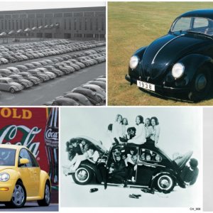 Beetle-history-876x535.jpg