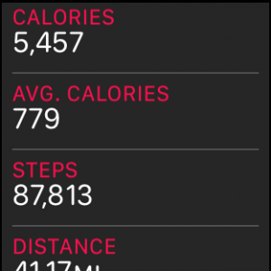 STEPS.png