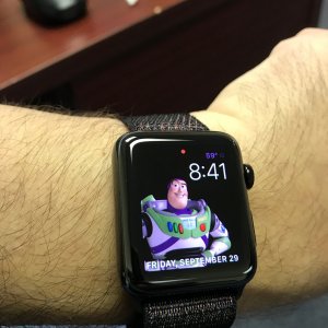 image1.jpeg