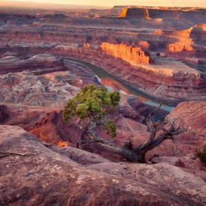Canyonlands2535 _2012-02-18_07-18-22__MG_2771__2012-02-18_12029 9.38.20 AM.jpg