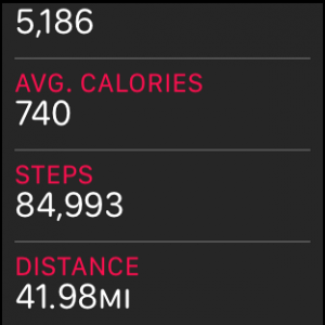 steps.png