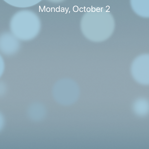 IMG_0785.png