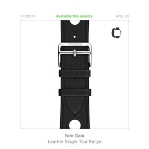 171007-stateof-applewatchbands-v2-sample-01.jpg