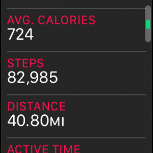 steps.png