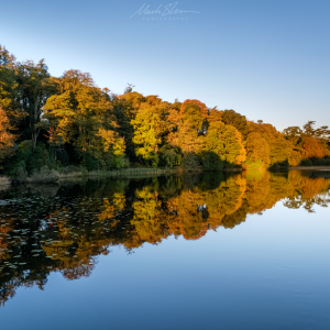 Autumn Morning small PL.png