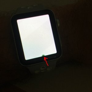 Watch.jpg