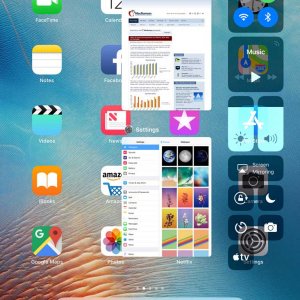 ipad-bug.jpg