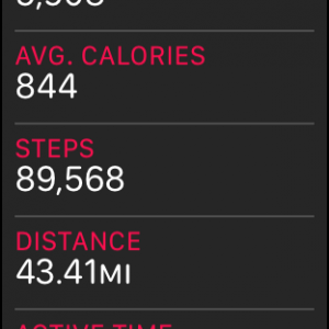 steps.png