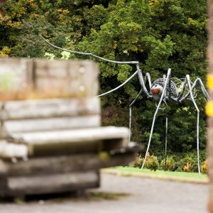 48HourFilm_Social Media (62 of 117).jpg