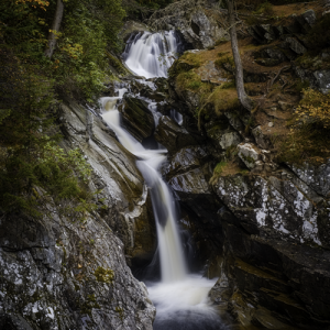 DSCF9696-Edit-work small PL MR.png