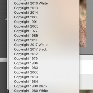 Screen Shot 2017-10-22 at 1.03.29 PM.png