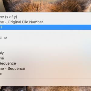 Screen Shot 2017-10-22 at 12.57.52 PM.png