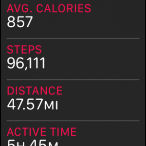STEPS.png