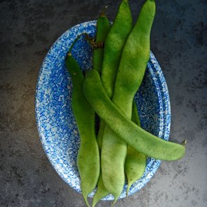 Beans NIK 28 Graduated 2 SM.JPG