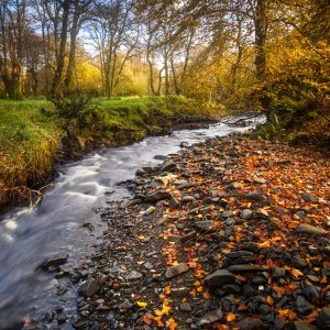 DSCF9856-Edit small PL.jpg