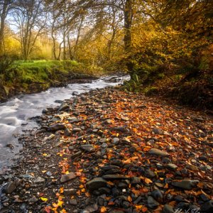 DSCF9856-Edit small PL.jpg