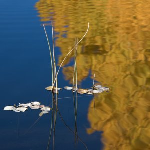 June Loop _070_2017_10_19_2349.jpg