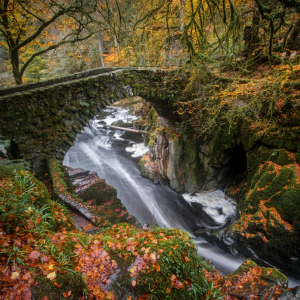 DSCF9448-Edit-Edit small PL.png