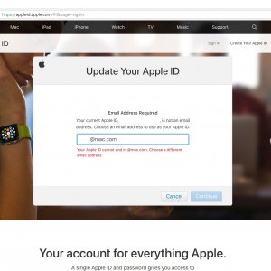 why_not_apple.jpg