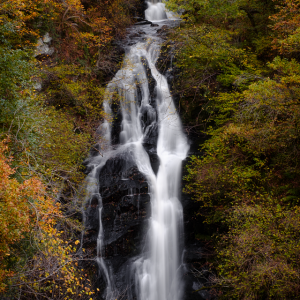 DSCF9600 small PL.png