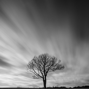 DSCF9892-Edit small PL.png