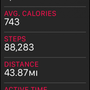 steps.png