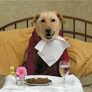 serveimage.gif