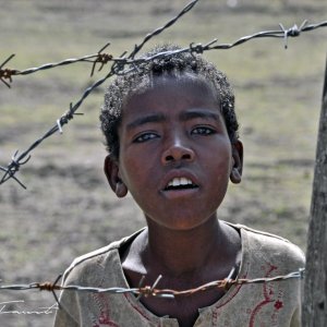 Fences-Ethiopia-2013.jpg