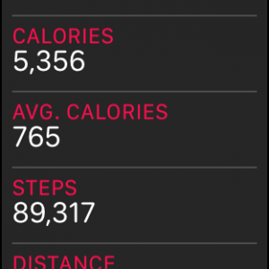 steps.png
