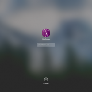 Screen Shot 2017-11-28 at 2.13.52 PM.png