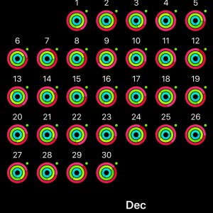 rings.jpg