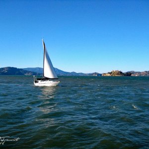 SFHarborSailboat.jpg