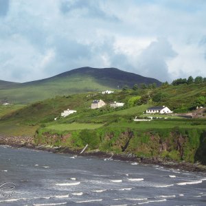 Dingle1.jpg
