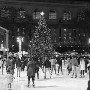 skating toward the tree bw1024.jpg