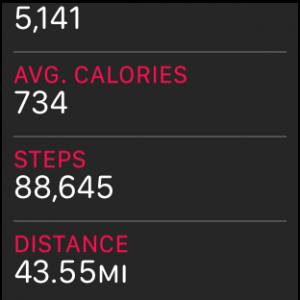 STEPS.PNG