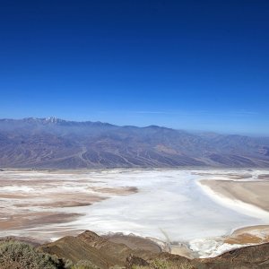 dante middle b1024.jpg