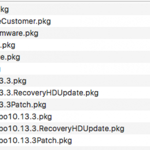 10.13.3 beta 3 files.png