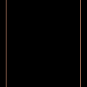 floral blush gold double.png