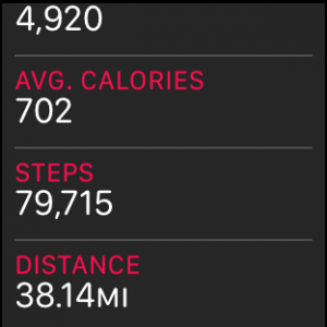 STEPS.PNG
