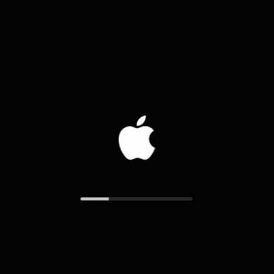 912E63BD-ADE9-451D-BDA1-7B272C515C5A.jpeg