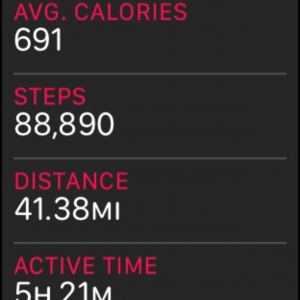 steps.png