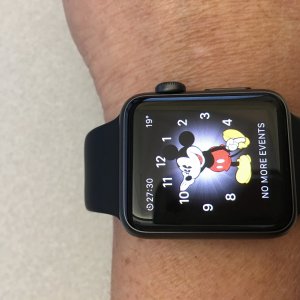 wrist4.jpg
