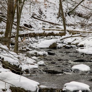 winterstream11024.jpg