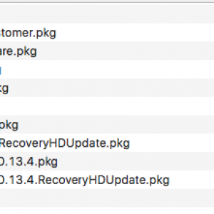 10.13.4beta1files.png