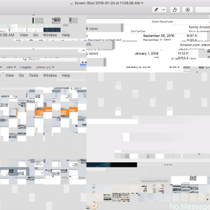 Screen Shot 2018-01-24 at 11.52.52 AM.png