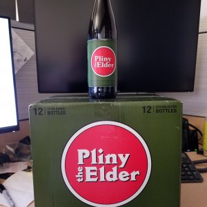 Pliny.jpg