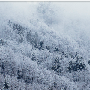 Screen Shot 2018-02-01 at 10.03.55 PM.png