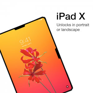 iPad X.png