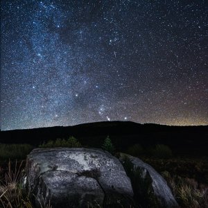 DSCF0655 Orion Rising small PL.jpg